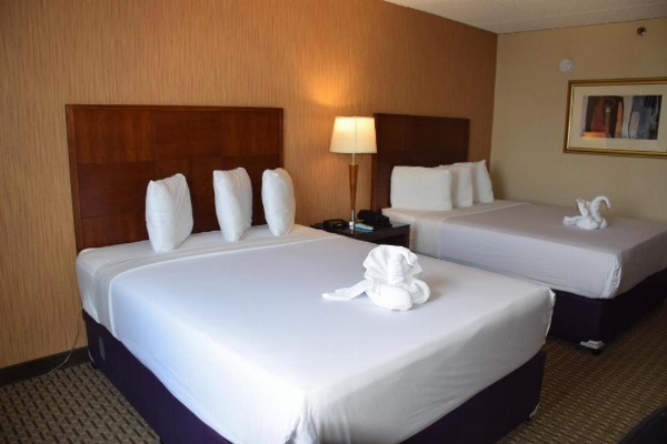 E Hotel Banquet & Conference Center image 17